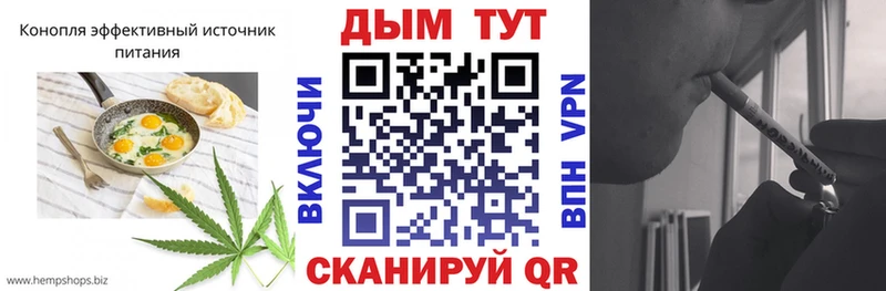 shop как зайти  даркнет сайт  Гуково  Печенье с ТГК марихуана 