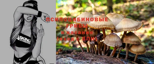 гидра Балабаново