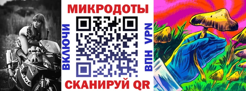 блэк спрут как зайти  как найти закладки  Гуково  Псилоцибиновые грибы Psilocybine cubensis 